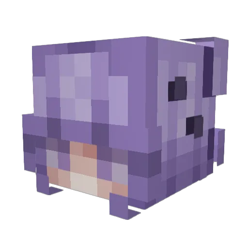 Gothic_Sweetz Minecraft avatar head, 3D render