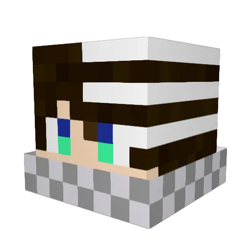 Gotspokemonz Minecraft avatar head, 3D render