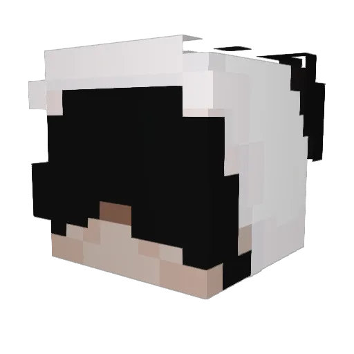 GottMortis Minecraft avatar head, 3D render