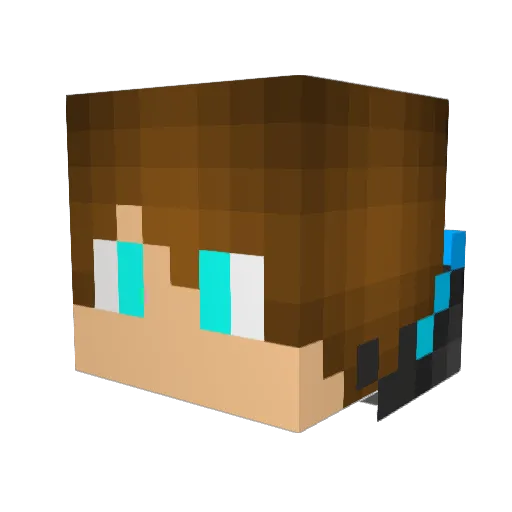 Gotta_catch Minecraft avatar head, 3D render
