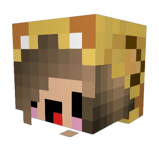 Goudcrafter Minecraft avatar head, 3D render