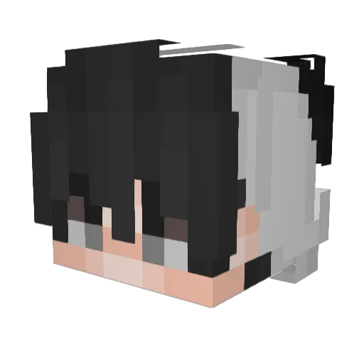 Goudere Minecraft avatar head, 3D render