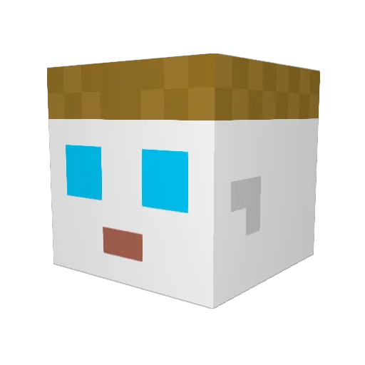 Goufunaki Minecraft avatar head, 3D render