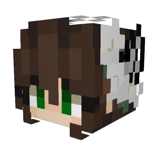 Goweeeee Minecraft avatar head, 3D render