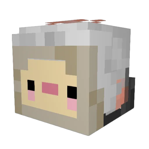 Gplayaaa Minecraft avatar head, 3D render
