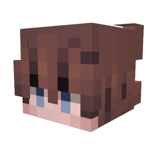 GqldenDuck Minecraft avatar head, 3D render