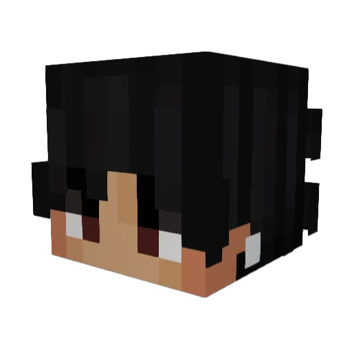 Gqvi Minecraft avatar head, 3D render