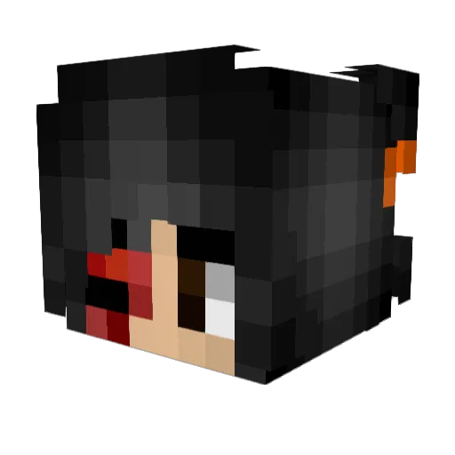 Gr20_ Minecraft avatar head, 3D render