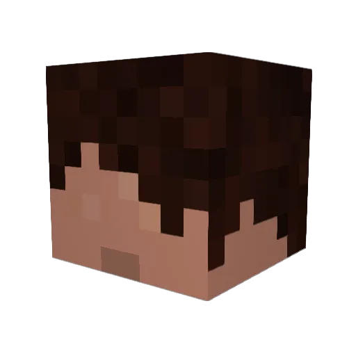 Gr3yFoXX9 Minecraft avatar head, 3D render