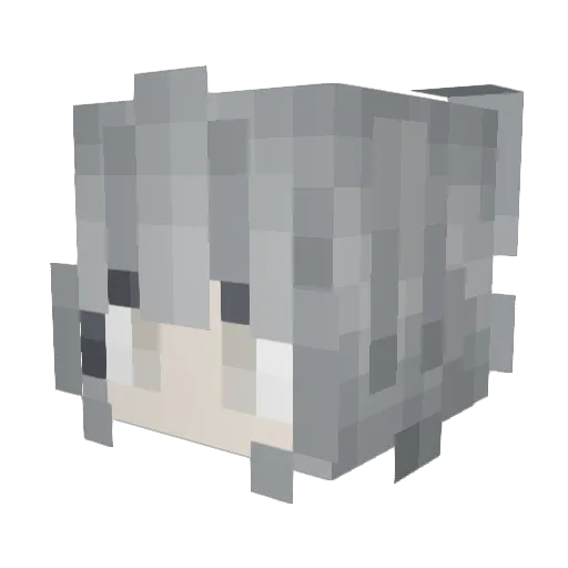 Gr3ySky Minecraft avatar head, 3D render