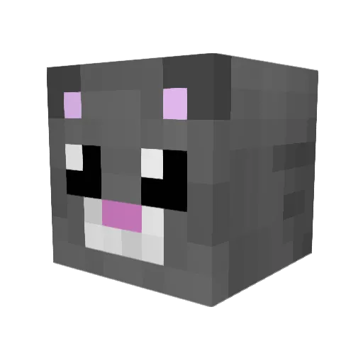 Gr3ykitt3n Minecraft avatar head, 3D render