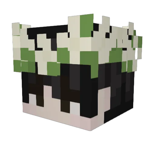 Gr3ywaren Minecraft avatar head, 3D render