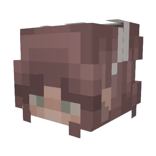 GraafRoel Minecraft avatar head, 3D render
