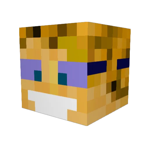 Graal53 Minecraft avatar head, 3D render