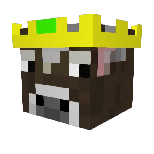 Grabiduz Minecraft avatar head, 3D render