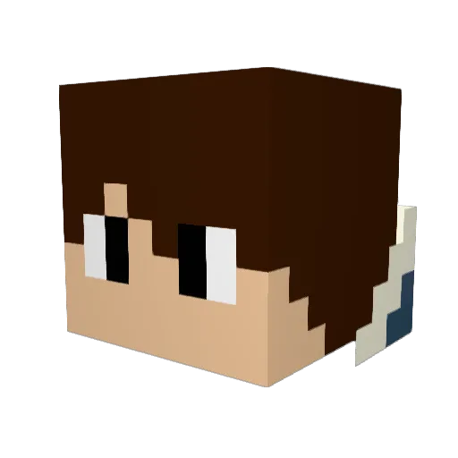 GrabmyPlatypus Minecraft avatar head, 3D render