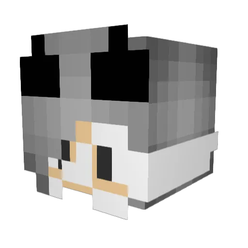GracciFox Minecraft avatar head, 3D render
