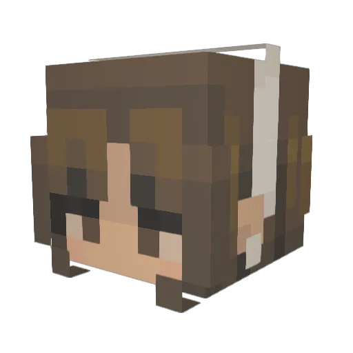 Grace0055 Minecraft avatar head, 3D render