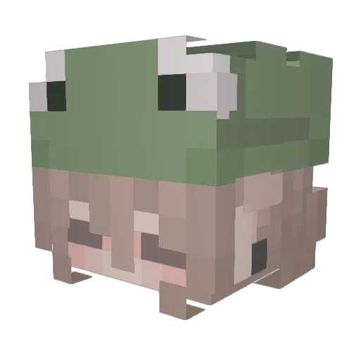 Grace33712 Minecraft avatar head, 3D render