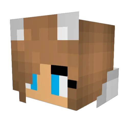 Grace3865 Minecraft avatar head, 3D render