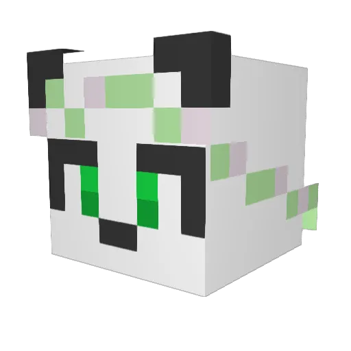 Grace4450 Minecraft avatar head, 3D render