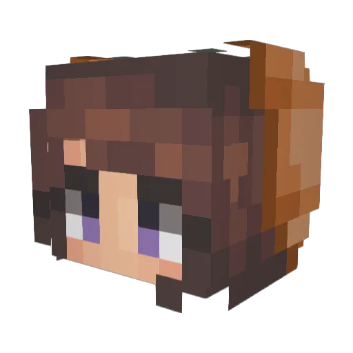 Grace967 Minecraft avatar head, 3D render