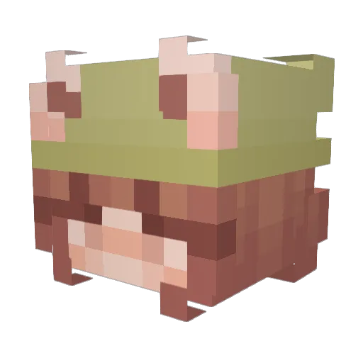 GraceBeamish Minecraft avatar head, 3D render