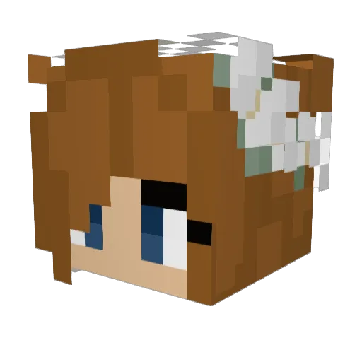 GraceIsBoss Minecraft avatar head, 3D render