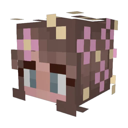 GraceMaye Minecraft avatar head, 3D render