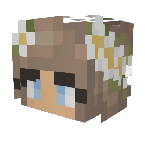 Grace_Marie_ Minecraft avatar head, 3D render