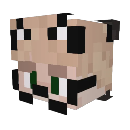 Grace_XP Minecraft avatar head, 3D render