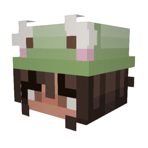 Gracebgr Minecraft avatar head, 3D render