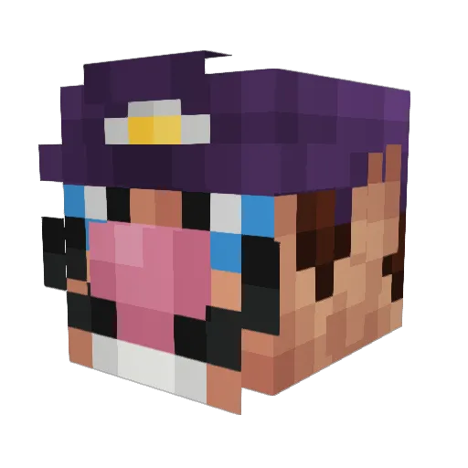 Gracefullback Minecraft avatar head, 3D render
