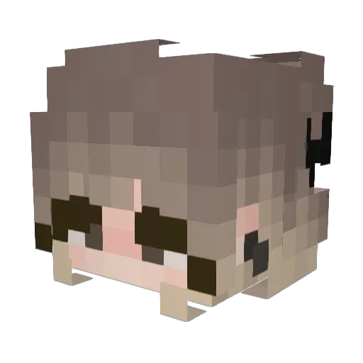 Graceiscrying Minecraft avatar head, 3D render
