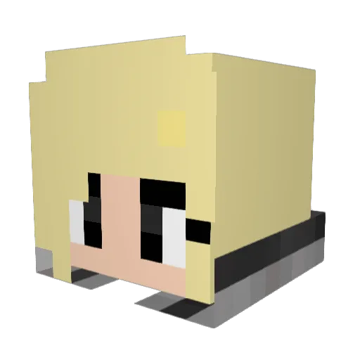 Graceling_ Minecraft avatar head, 3D render