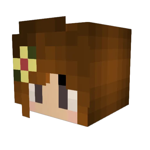 Graceoflight Minecraft avatar head, 3D render