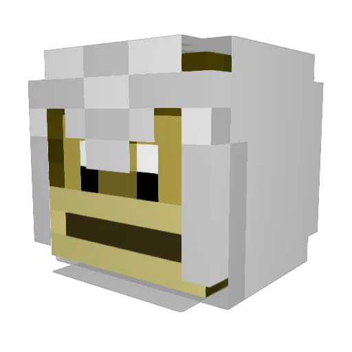 Gracer12 Minecraft avatar head, 3D render