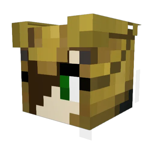 Gracewing Minecraft avatar head, 3D render
