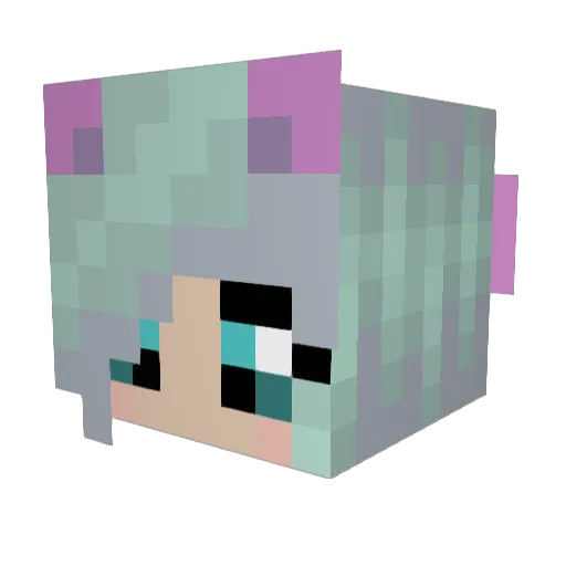 Gracie Minecraft avatar head, 3D render