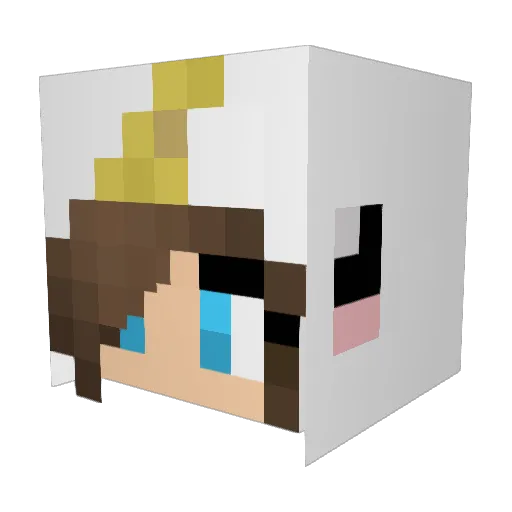 GracieJ3055 Minecraft avatar head, 3D render