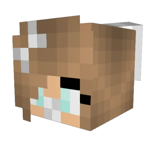 Gracie_4 Minecraft avatar head, 3D render