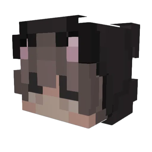 Gracioxx Minecraft avatar head, 3D render