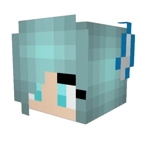 Gracybear123 Minecraft avatar head, 3D render