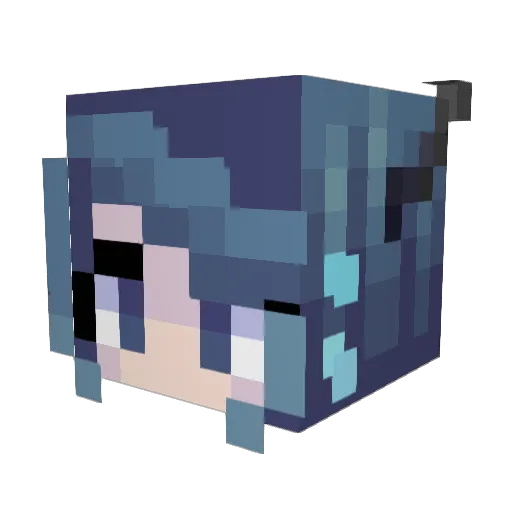 Gracyn4113 Minecraft avatar head, 3D render