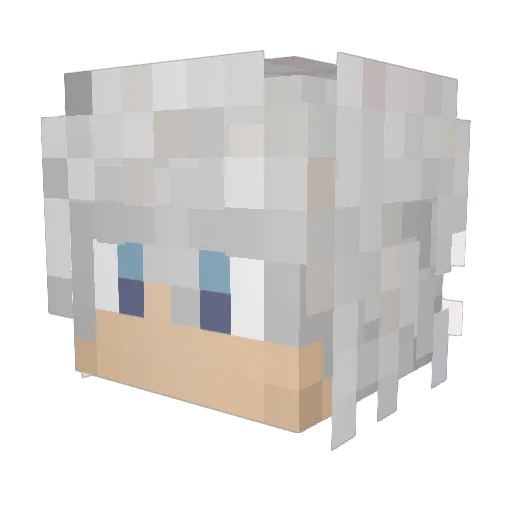 Gracz Minecraft avatar head, 3D render