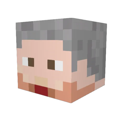Grae3107 Minecraft avatar head, 3D render