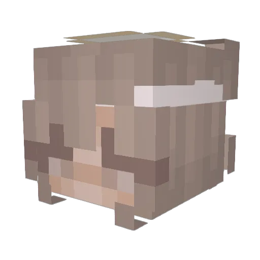 GrafBismarck Minecraft avatar head, 3D render