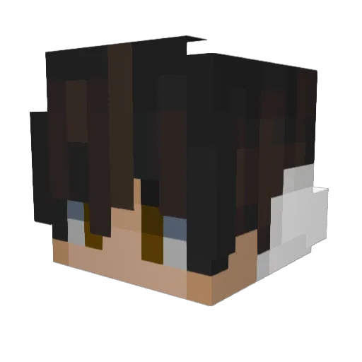 Graf_julian Minecraft avatar head, 3D render