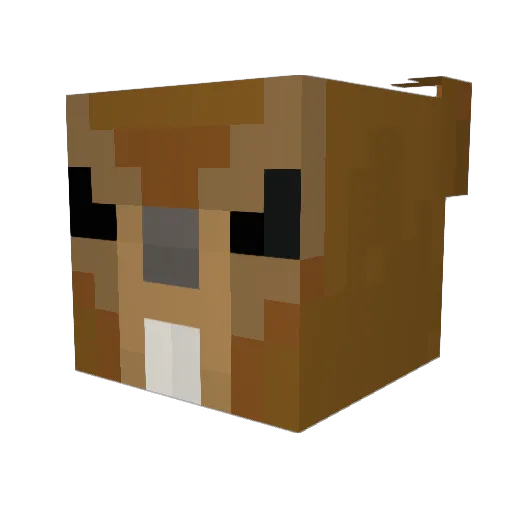 Graffitiest420 Minecraft avatar head, 3D render