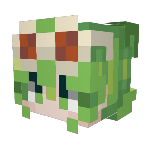 Graft2009 Minecraft avatar head, 3D render